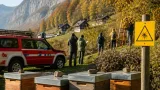 Asiatische Hornisse erstmals im Glarnerland nachgewiesen – Suche nach Nest läuft