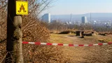 Basel-Stadt verhängt absolutes Feuerverbot im Wald und an Waldrändern
