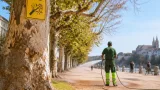Basel warnt: Trockene Bäume erhöhen Astbruchrisiko in Parks und Strassen