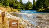 Burgdorf appelliert: Rücksicht nehmen auf Fische in der Emme