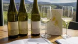 Falstaff bewertet Müller‑Thurgau aus Saale‑Unstrut: Bewertungen und Produzenten im Überblick