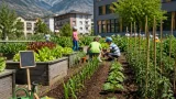 Gemüseacker in Schulen: Visper Primarschule setzt auf GemüseAckerdemie zur Ernährungsbildung
