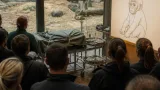 Gorilla Mobali in Basel eingeschläfert – Zoo nennt schwere Bissverletzungen