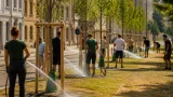Hitze und Trockenheit bringen Basler Stadtgärtnerei an die Grenze