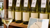 Hohe Bewertungen für Müller‑Thurgau aus Saale‑Unstrut: Orientierung für Thurgauer Weinliebhaber