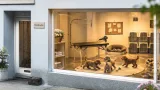 Hundesalon, Hundesitting und Zwergpudelzucht: Neues Angebot aus Gossau