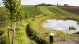 Mit «Slow Water» wollen BL und Luzern Regenwasser im Boden halten und Erosion reduzieren
