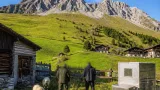 Schadenstiftender Wolf auf Alp Vorder Bristen erlegt – Behörden bestätigen Abschuss