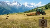 Wallis erlaubt frühe Mahd auf Öko-Wiesen wegen Trockenheit — Ertrag sinkt erheblich