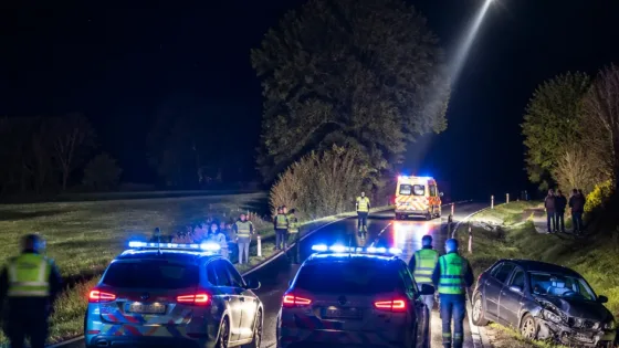 Verfolgungsfahrt durch Landkreise Cham und Regensburg: Polizist schwer verletzt
