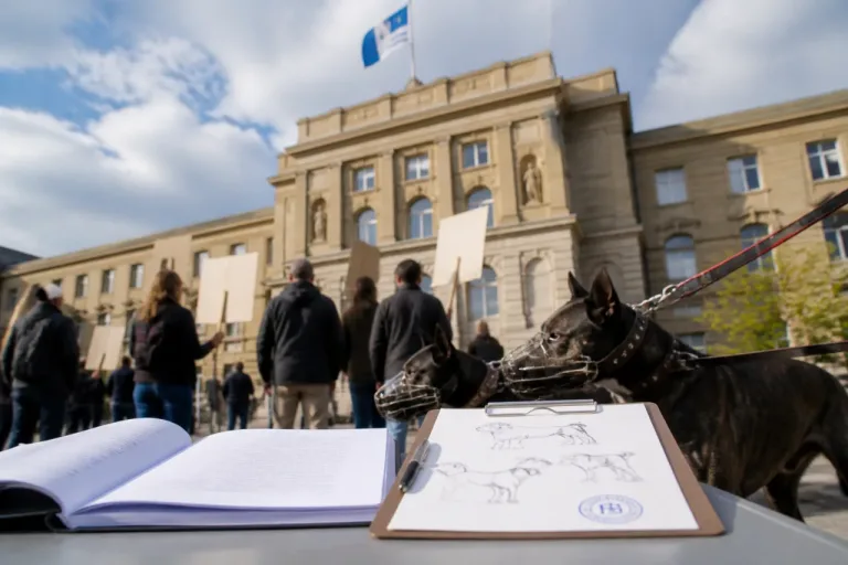 Aargau prüft Verbot von Kampfhunden – Motion von SVP-Grossrat sorgt für Debatte
