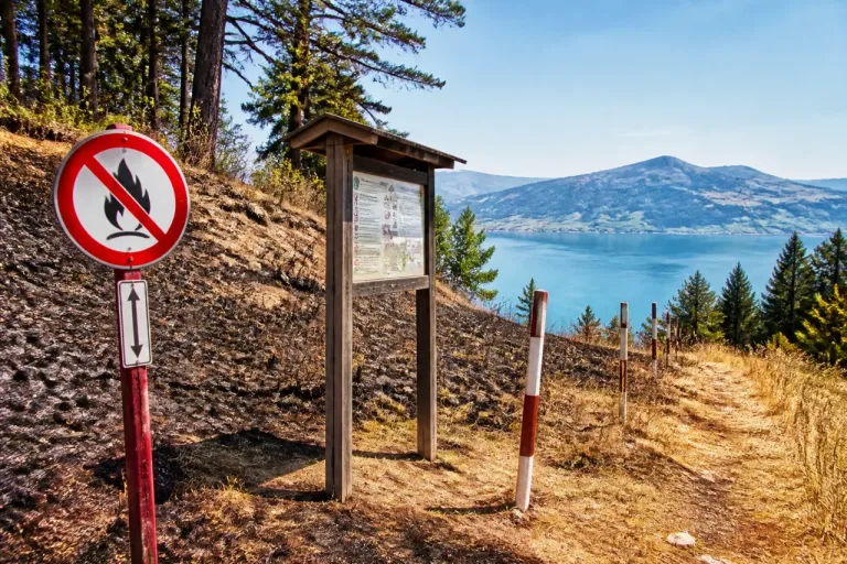 Ab sofort: absolutes Feuerverbot in Wäldern und Waldrändern in Obwalden und Nidwalden