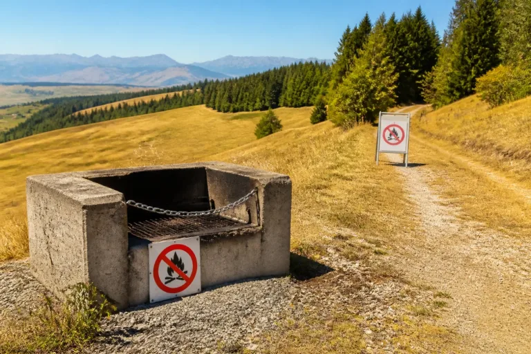 Appenzell: Nachbar Kanton verhängt Feuerverbot in und nahe dem Wald