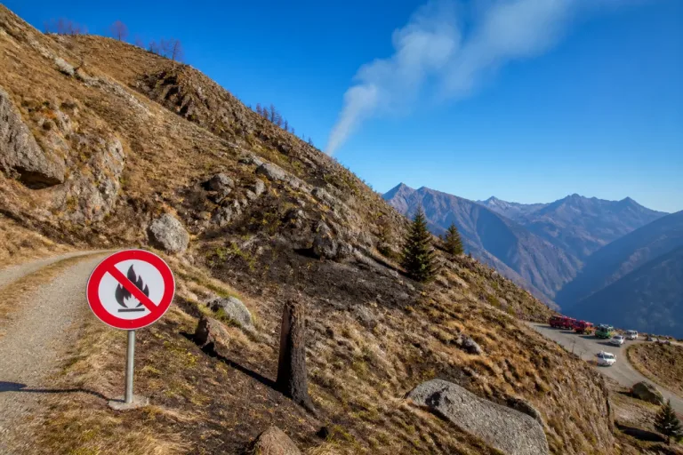 Ausgetrocknetes Unterholz: Im Tessin gilt wegen erhöhter Waldbrandgefahr striktes Feuerverbot
