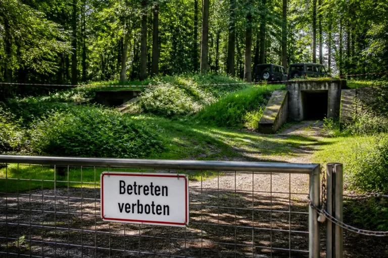 Bundeswehr prüft ehemaliges Munitionslager im Rheinwald bei Grißheim — Entscheid offen