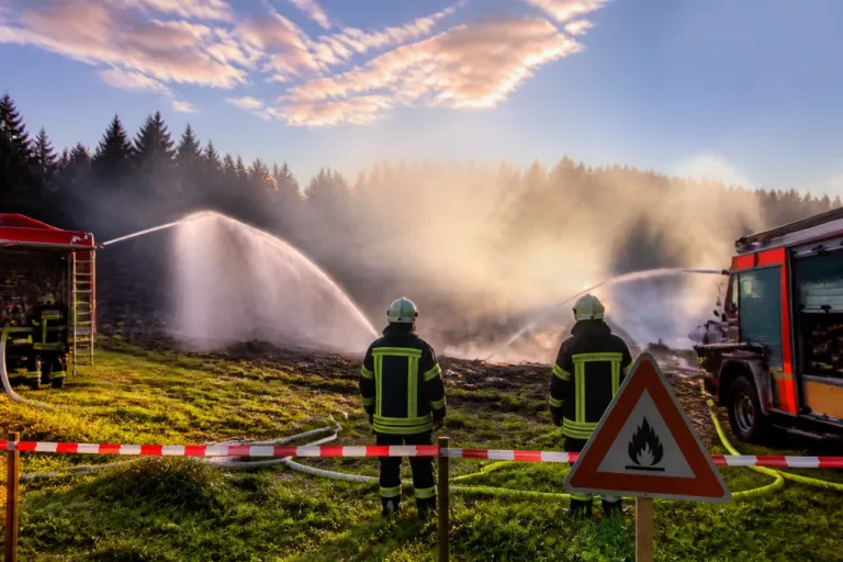 Flächenbrand in Willerzell: Feuerwehr verhindert Ausbreitung in den Wald