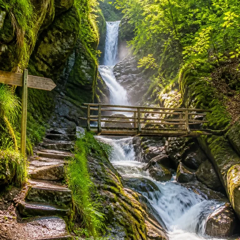 Wildes-Wasser-Weg bei Bodenmais ist «Deutschlands schönster Wanderweg 2026»