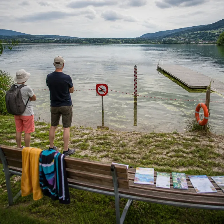 Blaualgenwarnung: Mehrere hessische Seen aktuell nicht zum Baden empfohlen