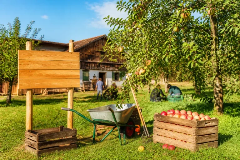 GartenCoop kauft Obsthof bei Mengen und sichert Flächen für ökologische Landwirtschaft