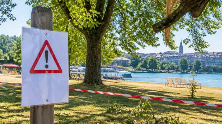 Hitze erhöht Astbruch-Gefahr in Bern – Stadt rät zu Vorsicht unter grossen Bäumen
