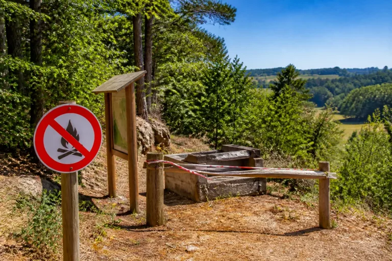 Kanton Freiburg verhängt generelles Feuerverbot in Wäldern wegen hoher Waldbrandgefahr
