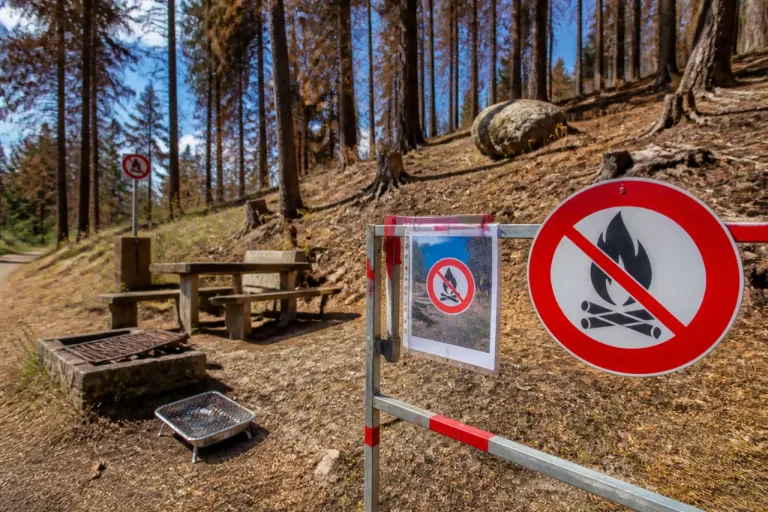 Kanton Schwyz erlässt absolutes Feuerverbot im Wald – Verbot gilt ab Freitag 14 Uhr