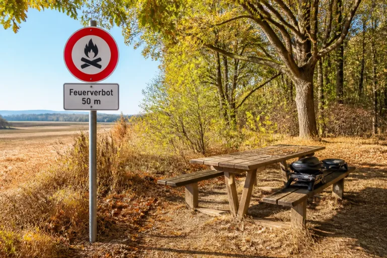 Kanton Thurgau erlässt Feuerverbot im Wald und in 50‑Meter‑Zone