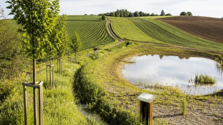 Mit «Slow Water» wollen BL und Luzern Regenwasser im Boden halten und Erosion reduzieren