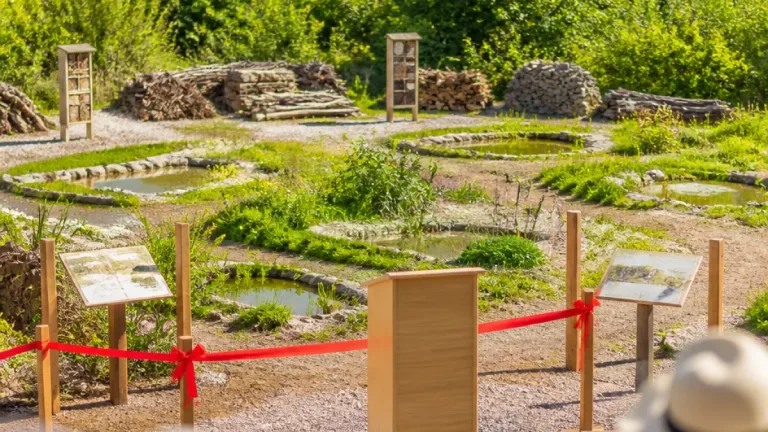 Neuer Naturlehrgarten eröffnet – Vielfalt, Strukturen und Bildungsangebote vor Ort