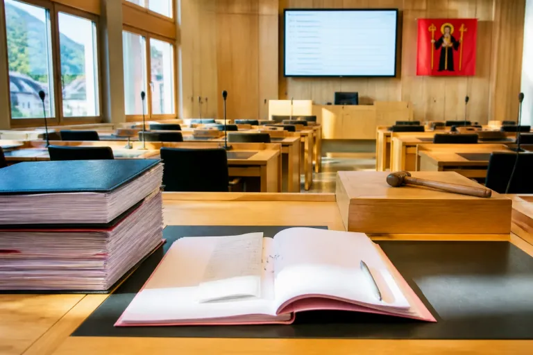 Regierung lehnt Prüfung von Steuergutschriften bei Überschüssen ab