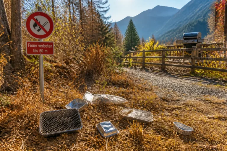 Schwyz verhängt absolutes Feuerverbot im Wald – erhöhte Waldbrandgefahr