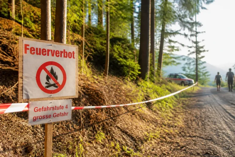 Schwyz verhängt absolutes Feuerverbot im Wald – Gefahrensstufe auf 4 erhöht