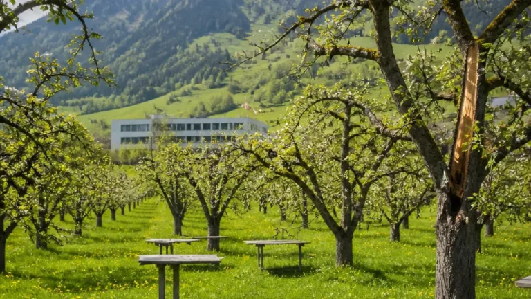 Schwyzer Obstbau unter Druck: Verband und Amt fordern mehr politische Unterstützung