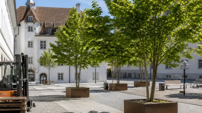 Solothurn testet mobile Bäume als flexible Gegenmassnahme gegen städtische Hitze