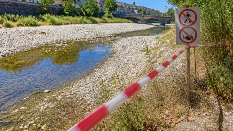 Solothurn verbietet Baden und Angeln in vielen Flüssen zum Schutz der Fische