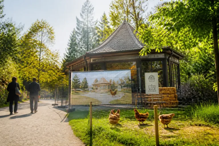 Stadtpark: Aus Sommerbuvette wird pädagogischer Hühnerstall mit Hofladen
