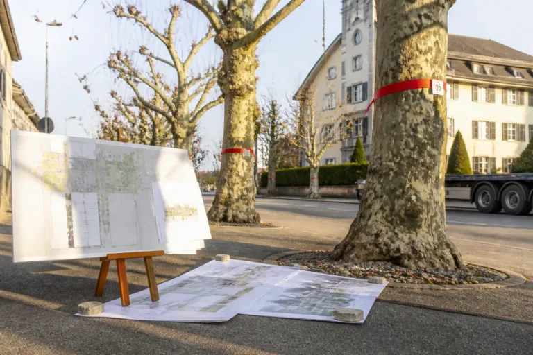 Umweltverbände verzichten auf Einsprache – fordern Aufwertung bei Baumschutz und Biodiversität