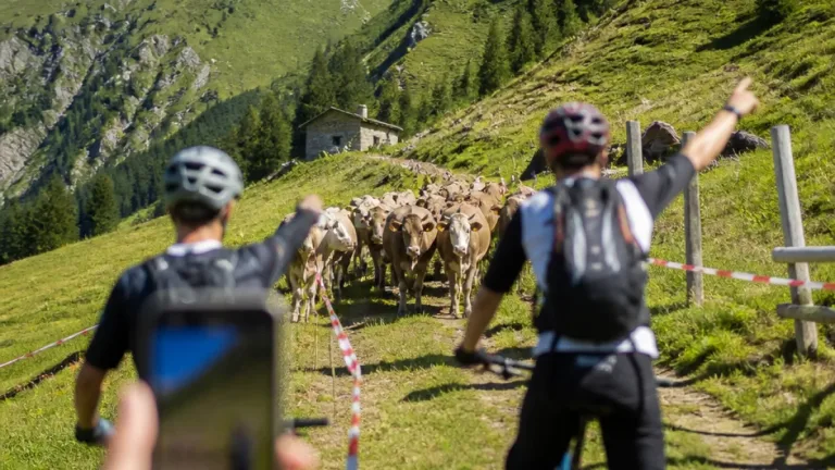 Video von Enduro‑Rennen in Bruson entzündet Debatte um Nutzung der Alpen