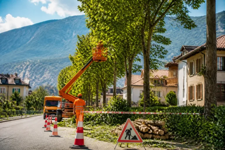 Visp beginnt am 13. Juli Baumpflege nach schweren Schneeschäden