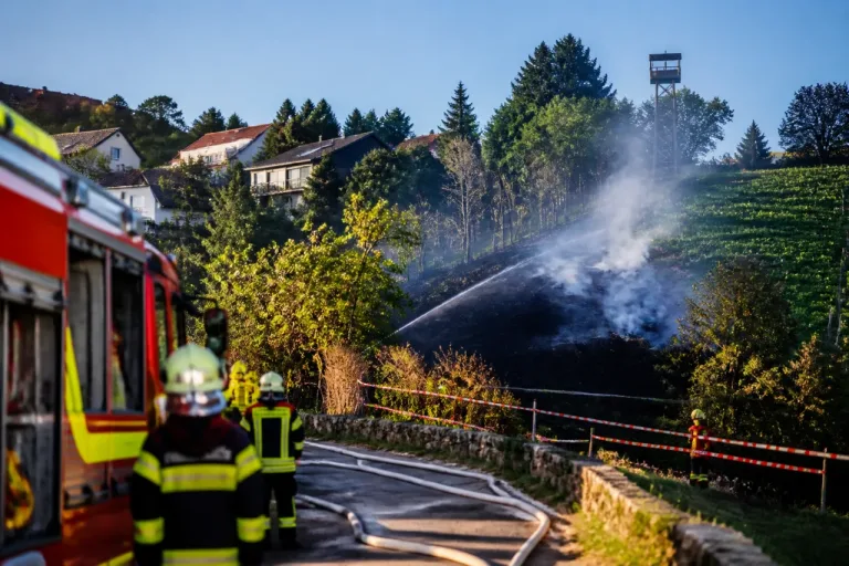 Waldbrand am Linsberg in Bettingen: Feuerwehr löscht rund 200 m² Brandfläche