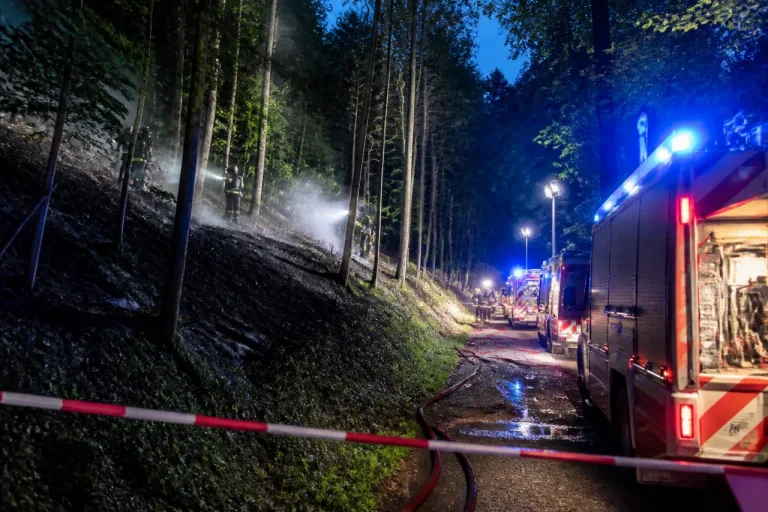 Waldbrand in Bettingen: 200 Quadratmeter verbrannten, keine Verletzten