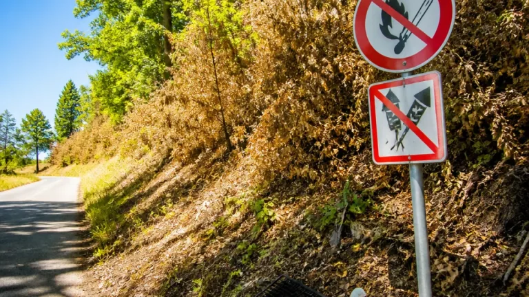 Waldbrandgefahr in AR steigt auf Stufe 4 – Feuerverbot in Wäldern und Waldrandnähe
