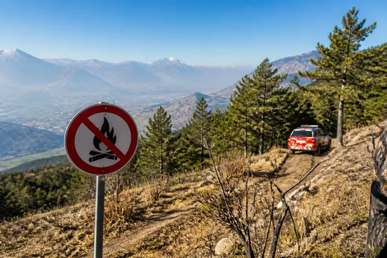 Wallis auf höchster Waldbrandwarnstufe: Generelles Feuerverbot gilt bereits