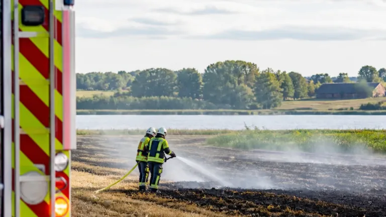 Weizenfeld bei Winden in Flammen – Feuerwehr löscht Brand, Ursache unklar