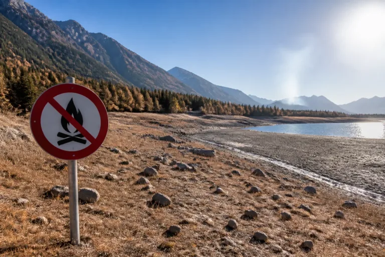 Anhaltende Trockenheit erhöht Waldbrandgefahr landesweit – Feuerverbote in mehreren Kantonen