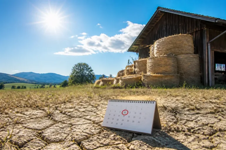 Warum der Siebenbrüdertag das Klima nicht bestimmt — Meteorologe warnt vor Lostagen