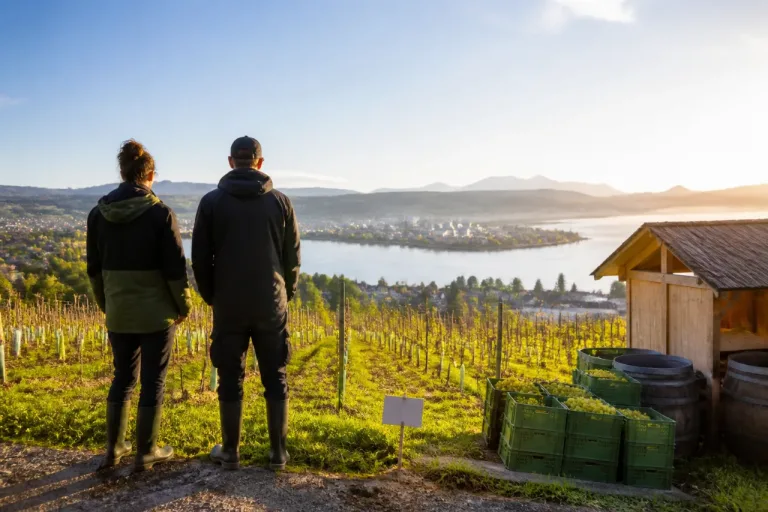 Zug bekommt erste diplomierte Winzerinnen – Schub für lokalen Weinbau